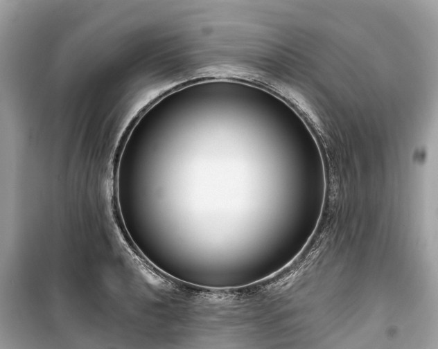 X0000099441040200805161129