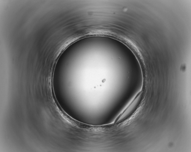 X0000099441041200805161129