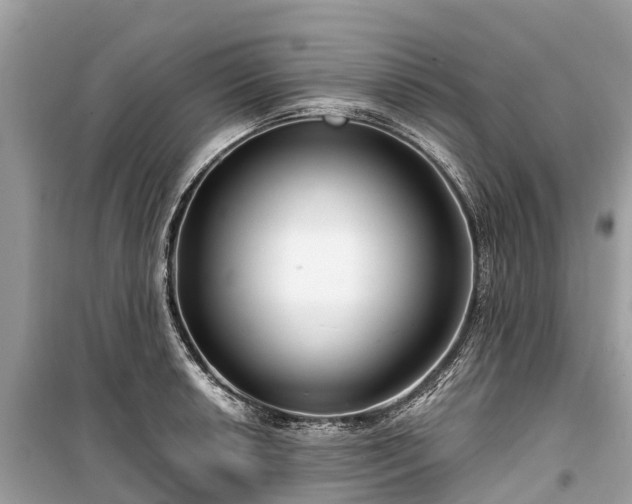 X0000099441042200805161129