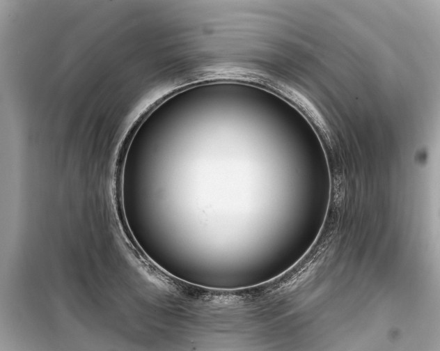 X0000099441043200805161129