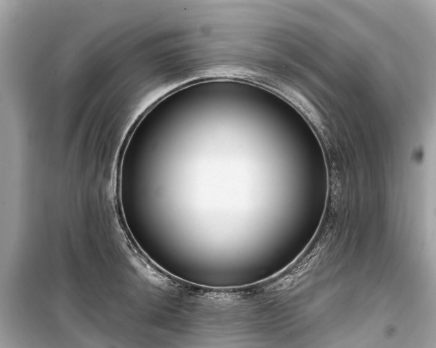 X0000099441044200805161129