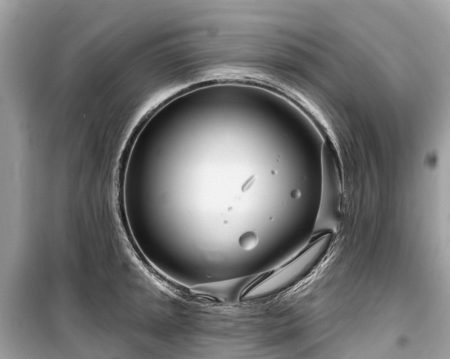 X0000099441045200805161129