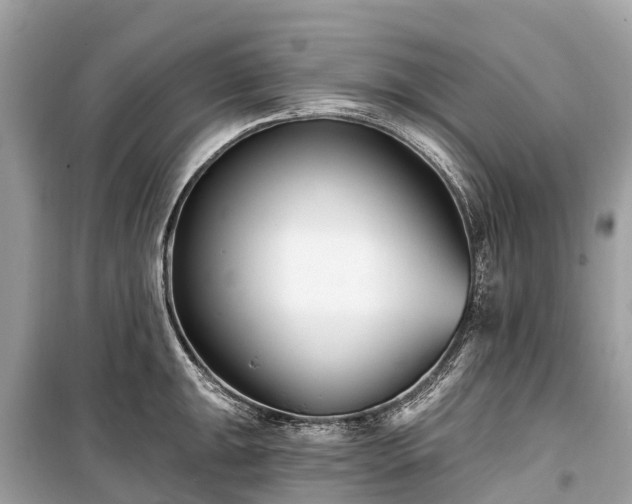 X0000099441047200805161129