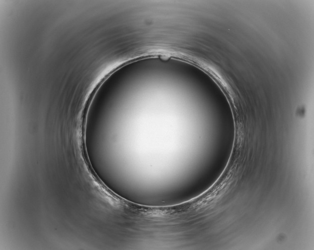X0000099441048200805161129