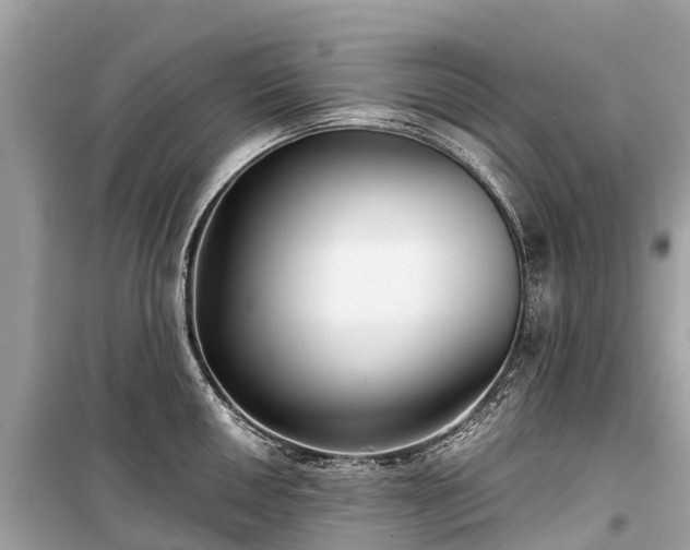 X0000099441050200805161129
