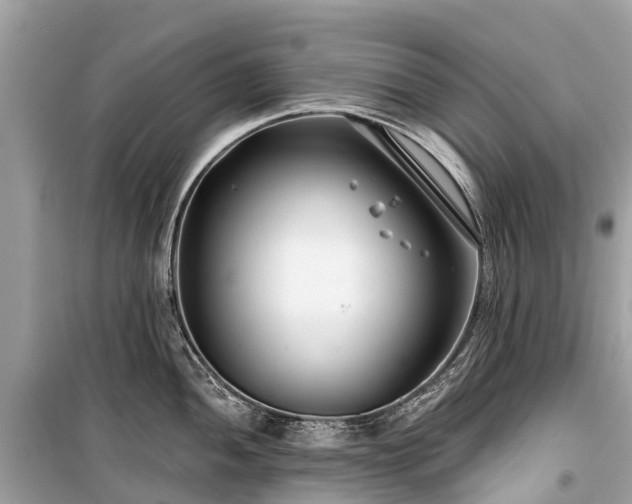 X0000099441052200805161129