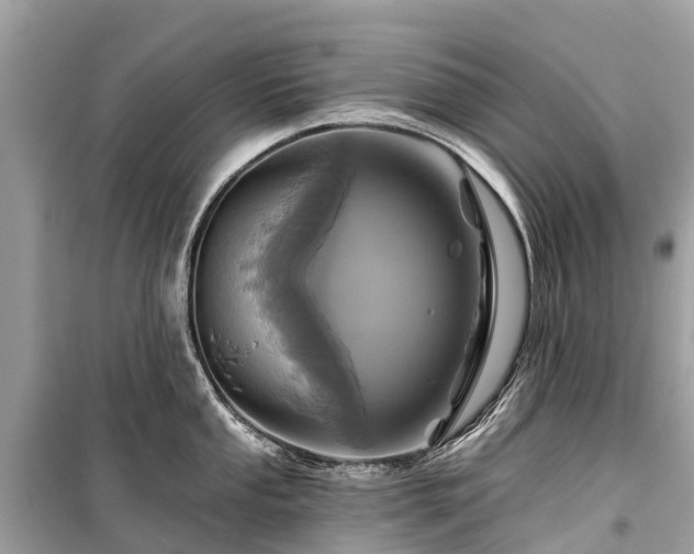 X0000099441053200805161129