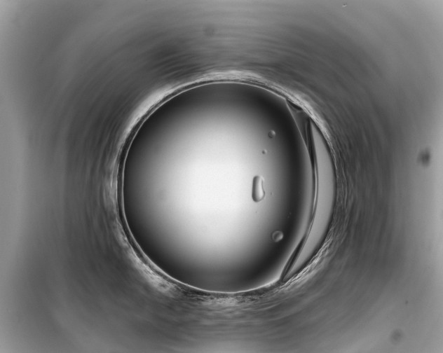 X0000099441054200805161129