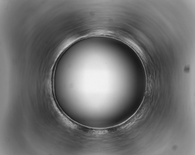 X0000099441055200805161129
