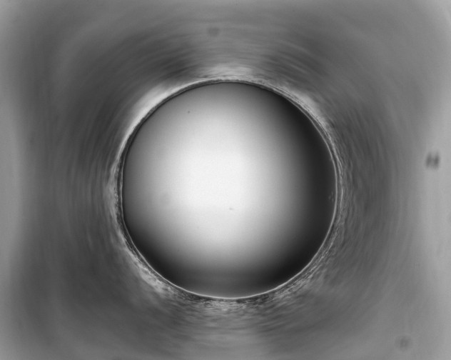 X0000099441056200805161129