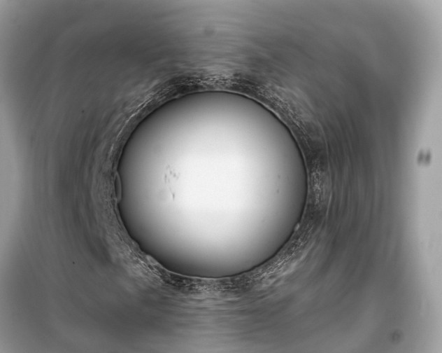 X0000099441057200805161128