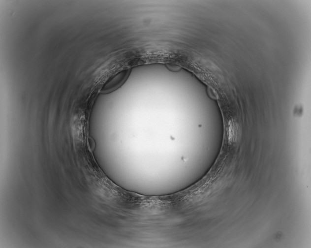 X0000099441059200805161128