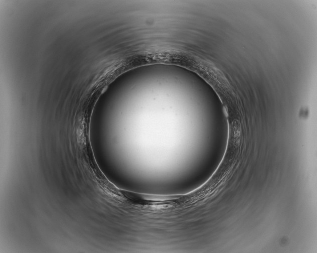 X0000099441060200805161128