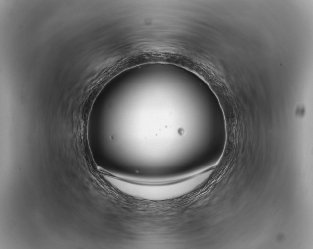 X0000099441061200805161128