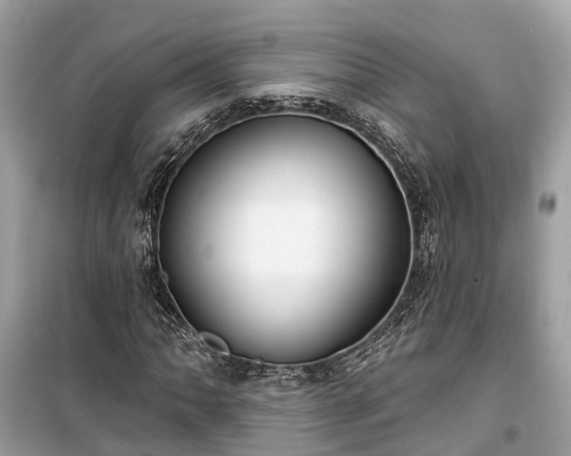 X0000099441062200805161128