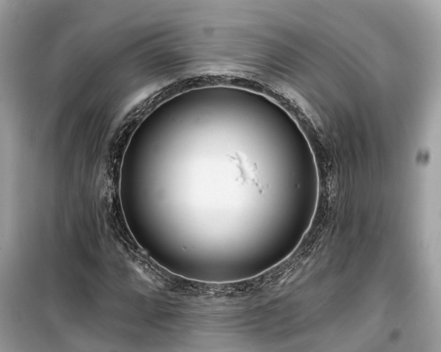 X0000099441064200805161128