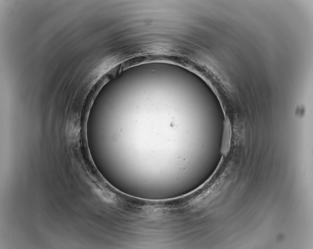 X0000099441065200805161128