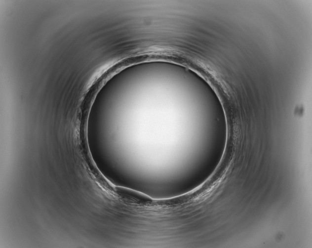 X0000099441066200805161128