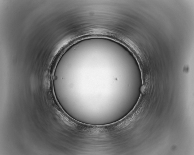 X0000099441067200805161128