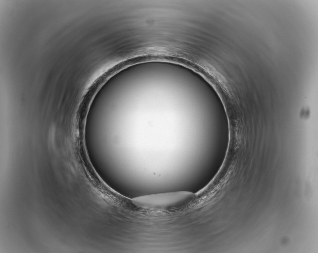 X0000099441070200805161128