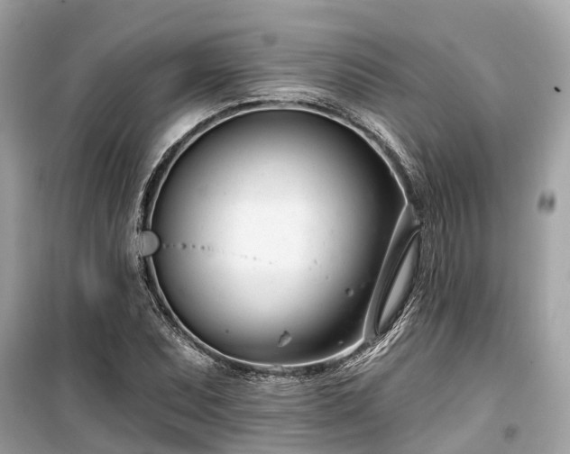 X0000099441071200805161128