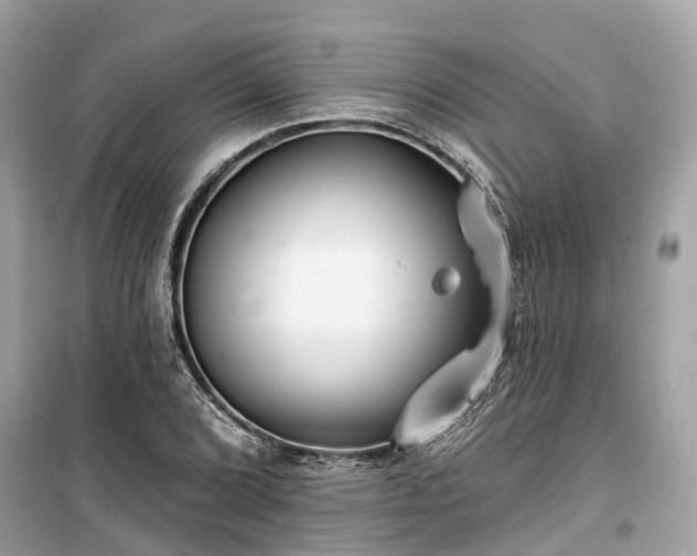 X0000099441072200805161128