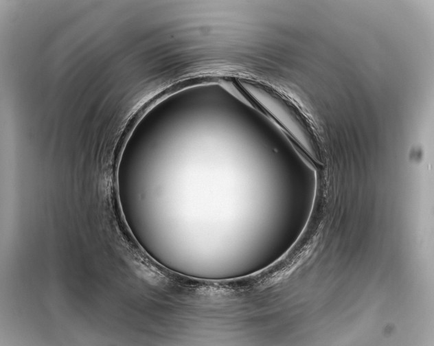 X0000099441073200805161128