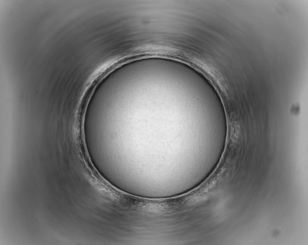 X0000099441074200805161128