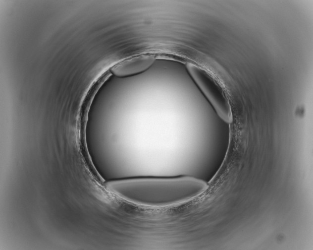 X0000099441076200805161128