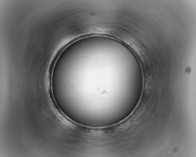 X0000099441080200805161128