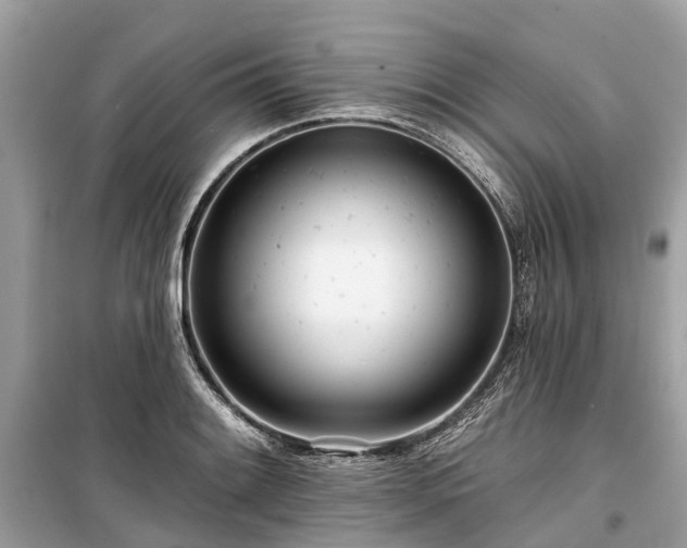 X0000099441084200805161128