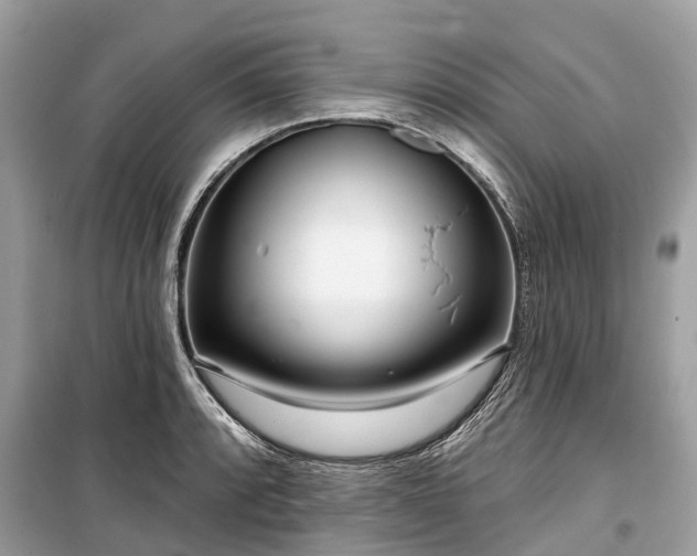 X0000099441088200805161128