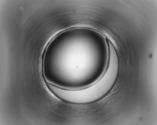 X0000099441092200805161128