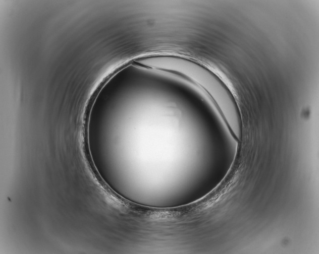 X0000099441093200805161128