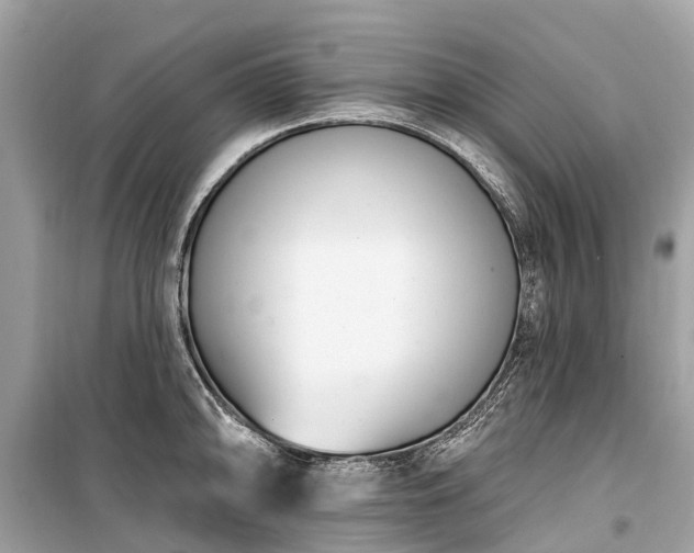X0000099441094200805161128