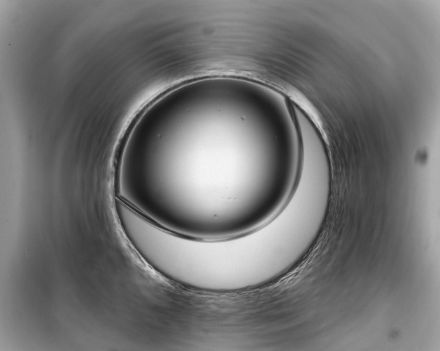 X0000099441096200805161128