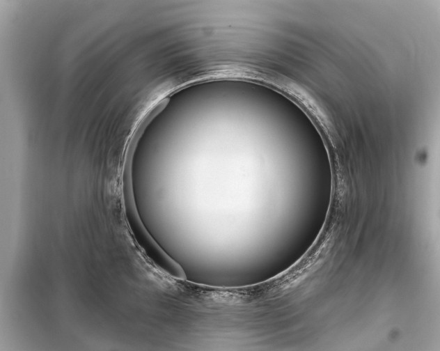 X0000099441097200805161128
