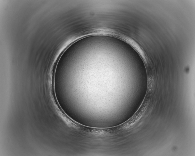 X0000099441099200805161128