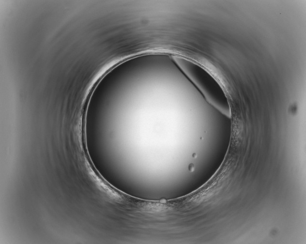 X0000099441100200805161128