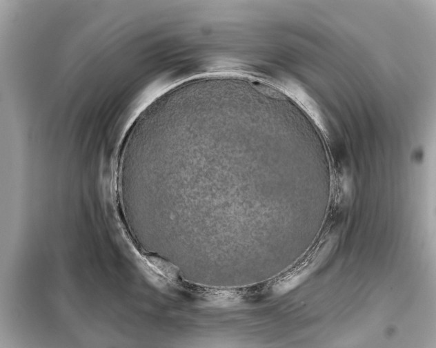 X0000099441101200805161128