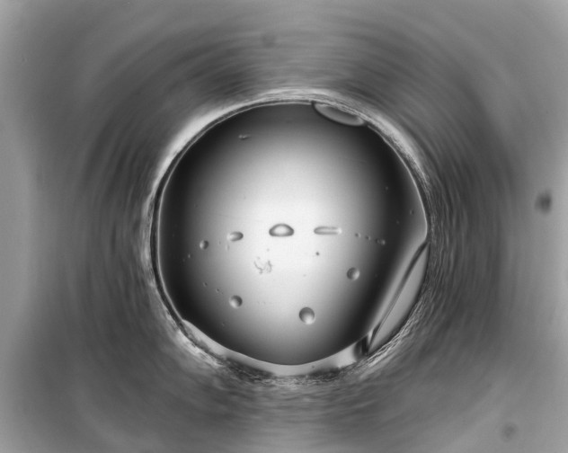 X0000099441102200805161128