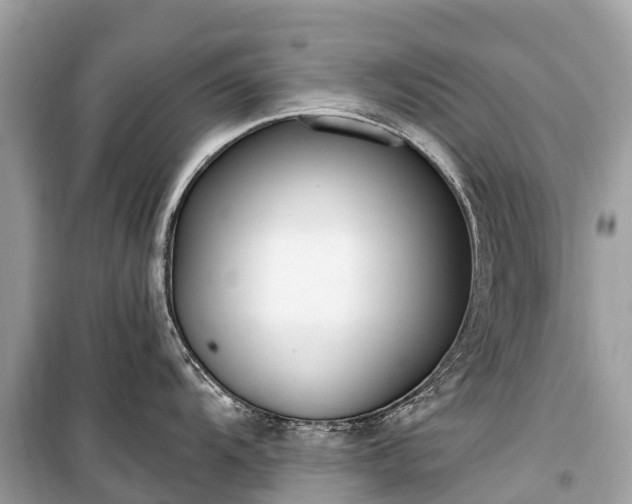 X0000099441104200805161128