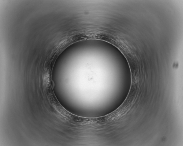 X0000099441106200805161127