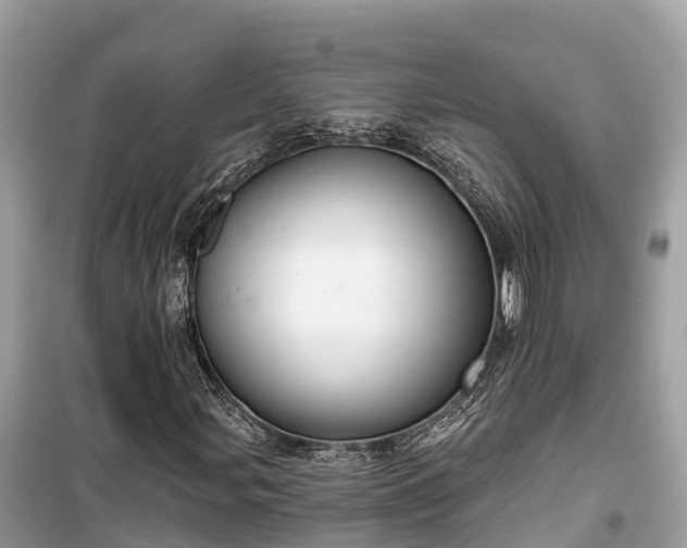 X0000099441107200805161127