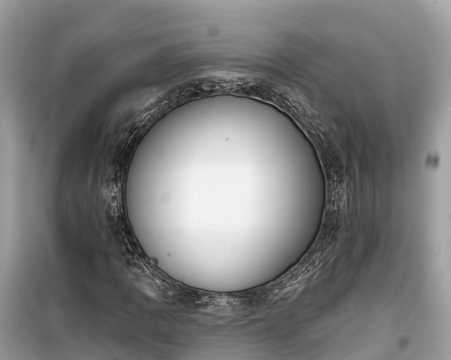 X0000099441109200805161127