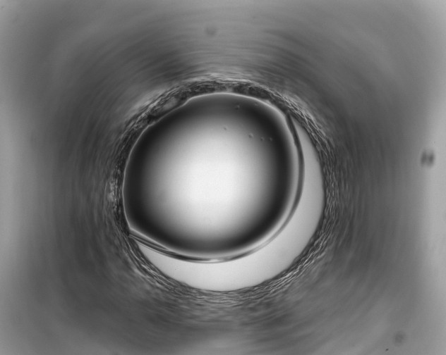 X0000099441110200805161127