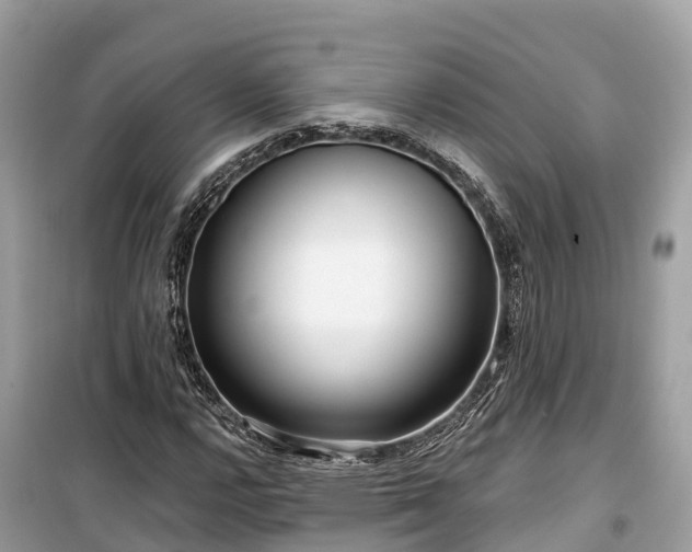 X0000099441112200805161127