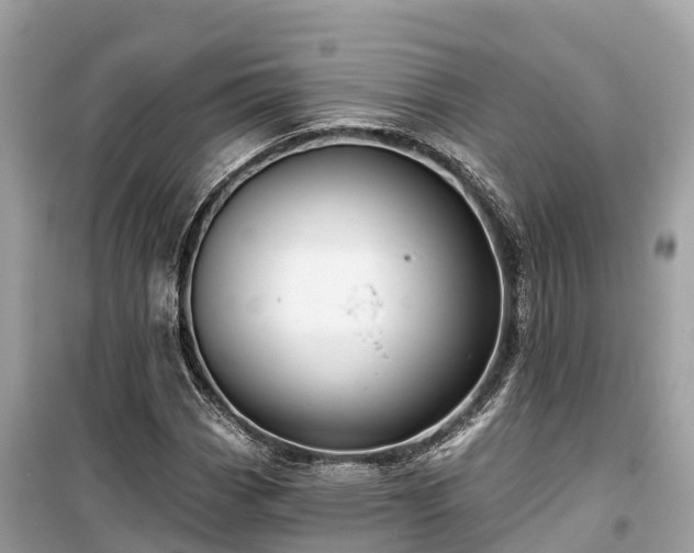 X0000099441113200805161127