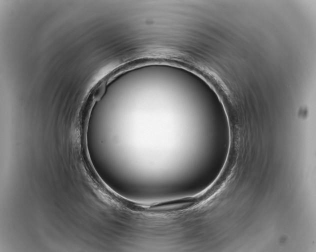 X0000099441114200805161127
