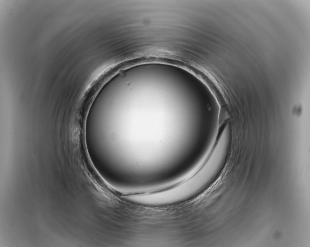 X0000099441115200805161127